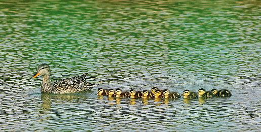 PS+二档会免游戏泄露 《FF7RE》《刺客信条系列》等